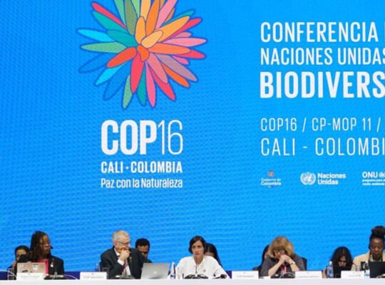 COP16, Pakistan, Biodiversity