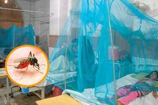 Karachi malaria cases 2024