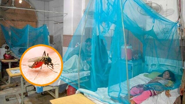 Karachi malaria cases 2024