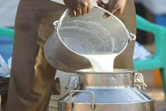 Karachi Three dairy associations fined