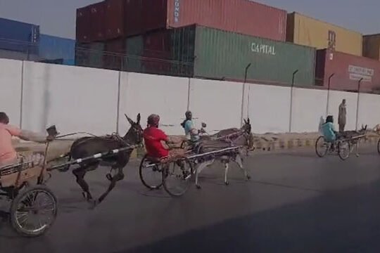 Karachi donkey race