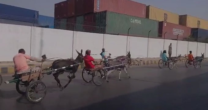 Karachi donkey race