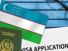 Uzbekistan work visa Pakistan