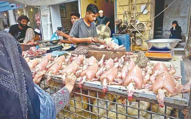 Karachi chicken price list