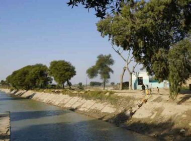 canals project Sindh