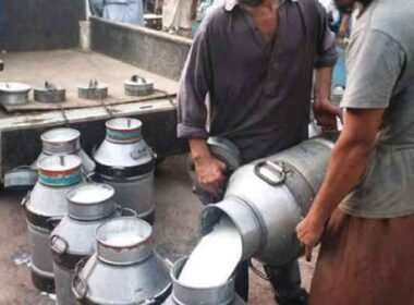 Karachi dairy farmers