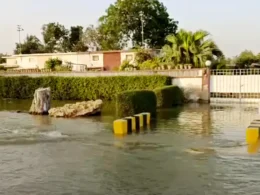 جامعہ کراچی
