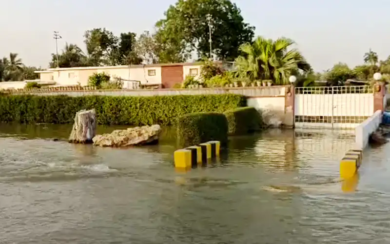 جامعہ کراچی