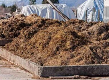 Biogas project Karachi