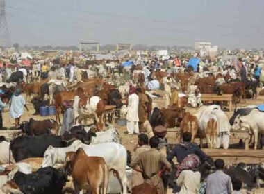 Eidul Adha 2025