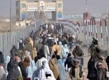 illegal Afghan immigrants