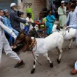 Eid-ul-Adha 2025 date