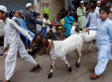Eid-ul-Adha 2025 date