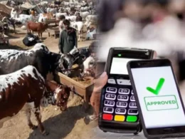Cashless payment facility