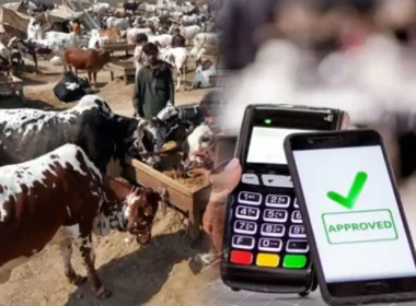 Cashless payment facility