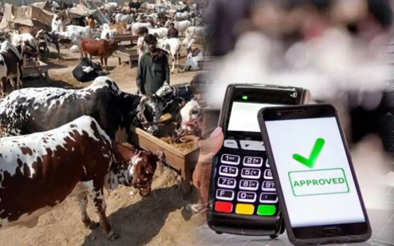 Cashless payment facility