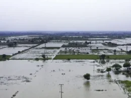 immediate flood risks