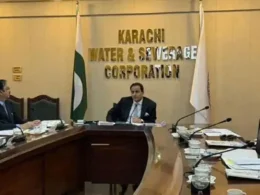 Karachi mayor orders inquiry