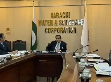 Karachi mayor orders inquiry