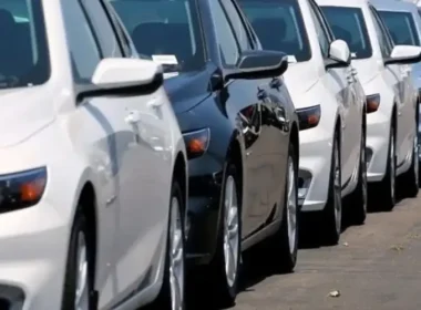 Sindh cabinet traffic law amendments