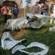 Pakistan damage India