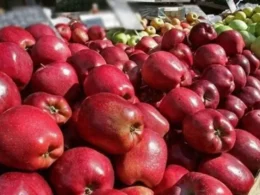 India boycott apples