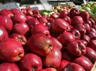 India boycott apples