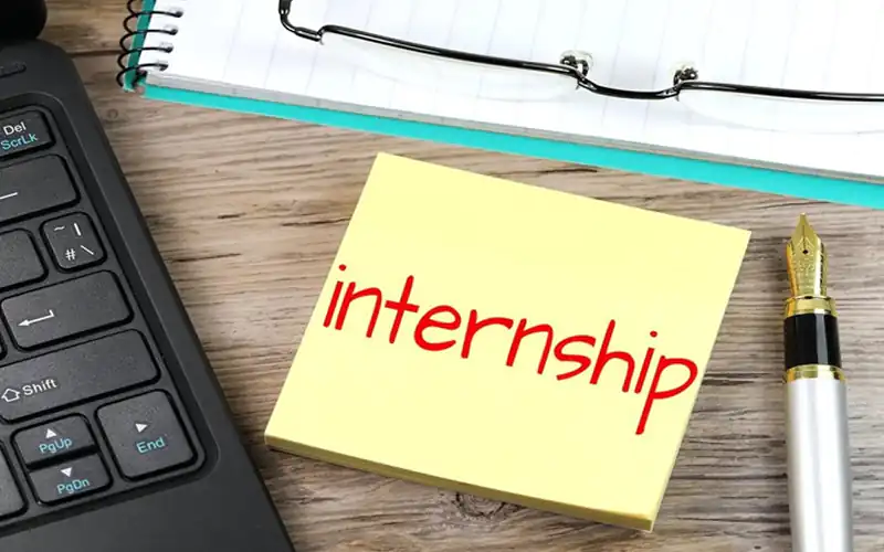 NTDC Grid Girls internship
