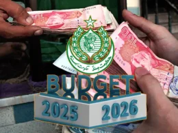 Sindh budget 2025