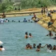 Hub Canal swimming ban