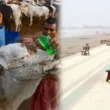 Karachi Eid weather forecast