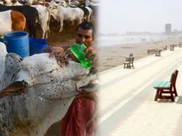 Karachi Eid weather forecast