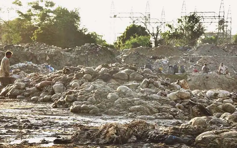 Eid ul Adha waste management