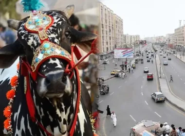 Eid ul Adha cleanliness plan