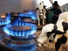 Eid gas schedule Karachi