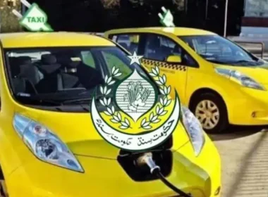 Sindh public transport 2025