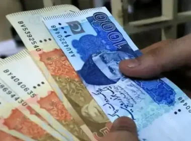 OICCI demands tax relief