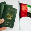 New UAE media law for Pakistanis