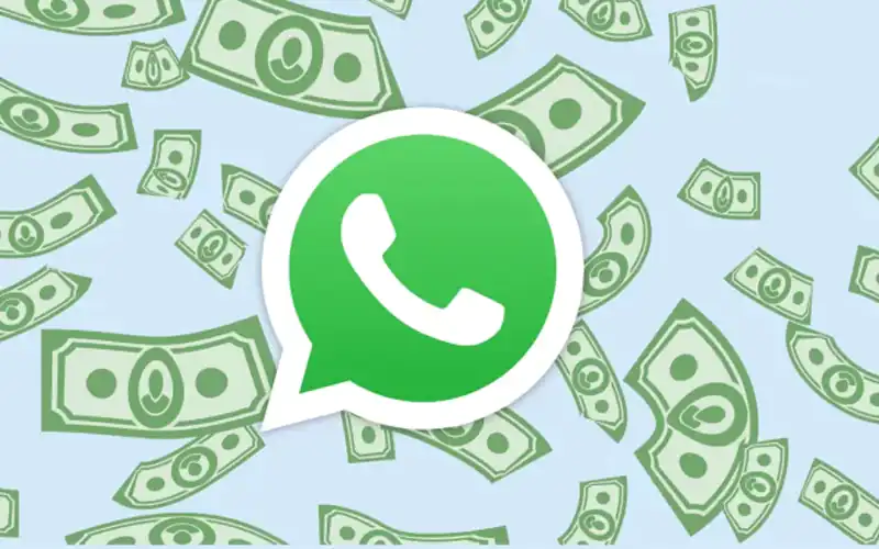 WhatsApp update for creators