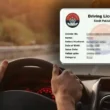 Online driving license in Sindh