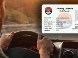 Online driving license in Sindh