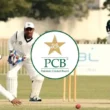 PCB domestic cricket structure