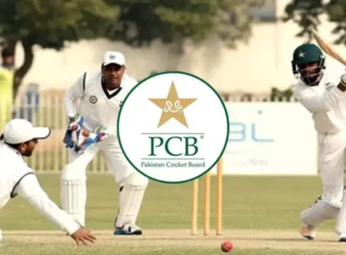 PCB domestic cricket structure