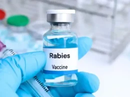 Indigenous anti-rabies vaccine Pakistan