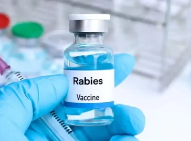 Indigenous anti-rabies vaccine Pakistan