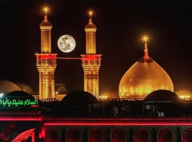 Pakistani zaireen traveling to Iraq