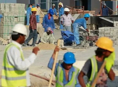 Saudi job Job transfer
