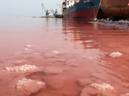 pink water Gadani