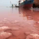 pink water Gadani
