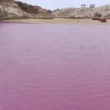 Gadani Pink tide